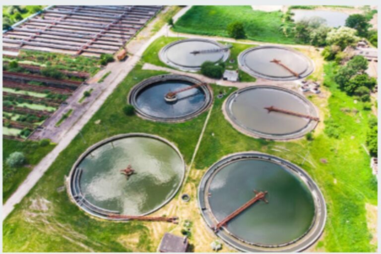 Understanding Algae Production